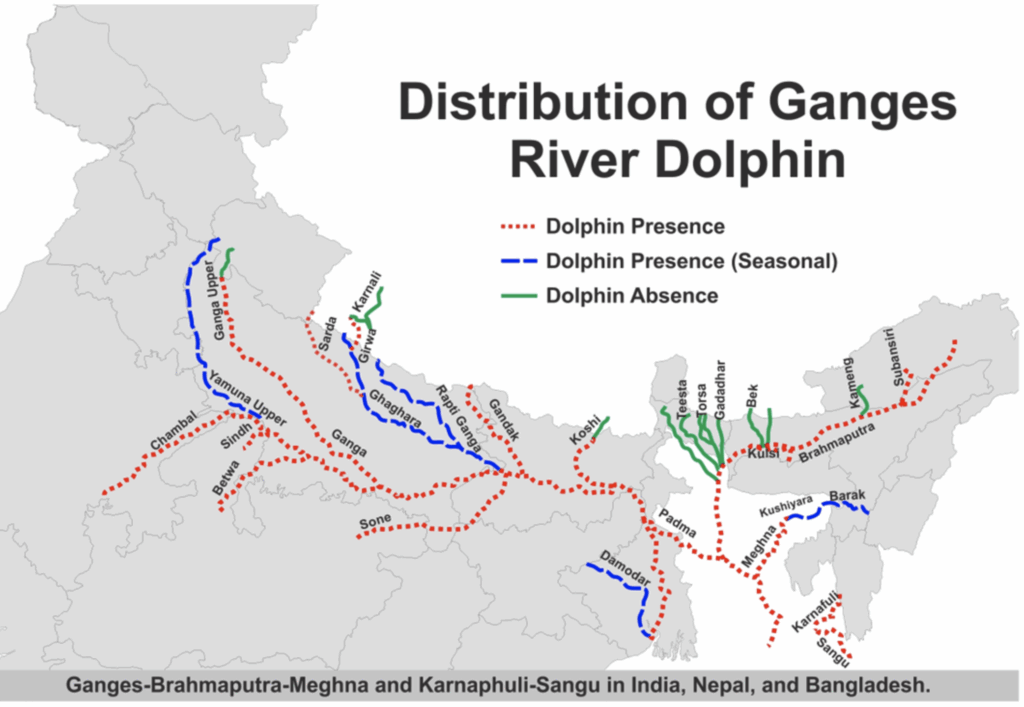Distribution of Ganga River Dolphin