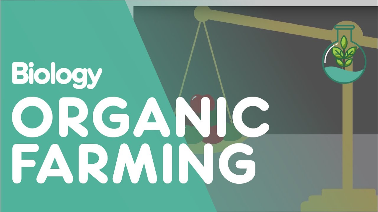 The Pros and Cons of Organic Farming | Ecology and Environment | Biology | FuseSchool