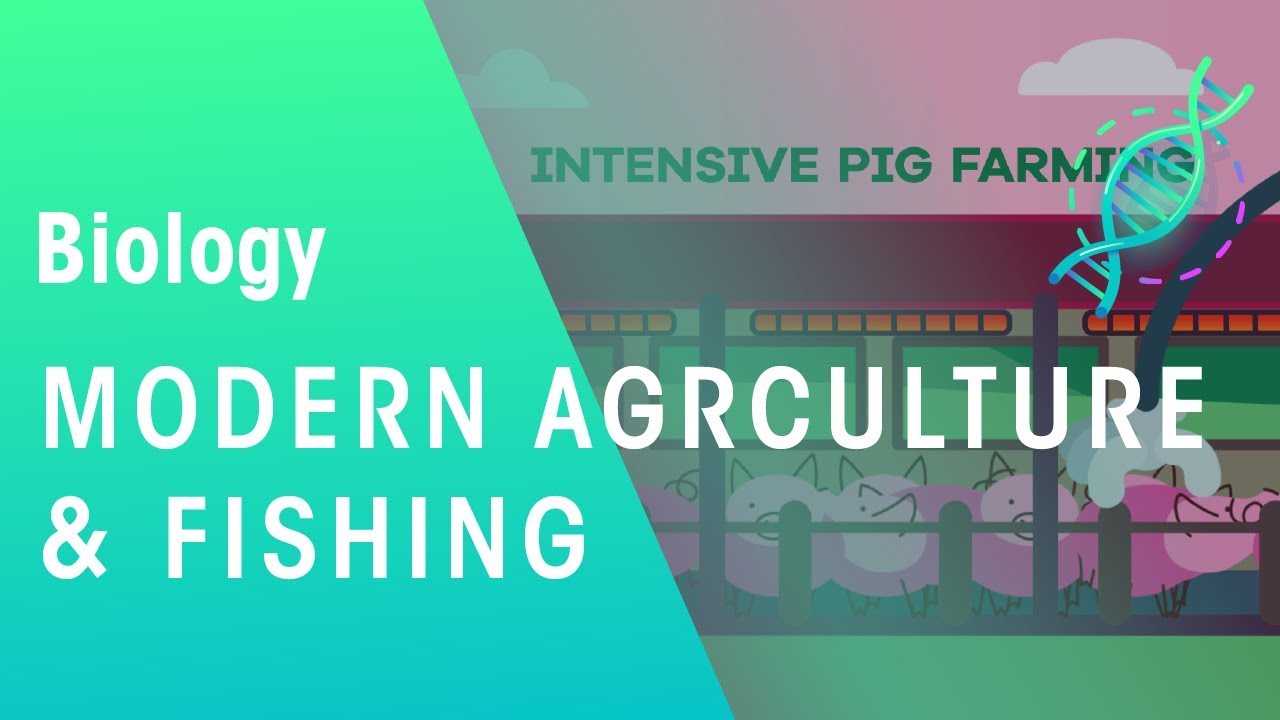 Modern Agriculture and Fishing | Environment | Biology | FuseSchool