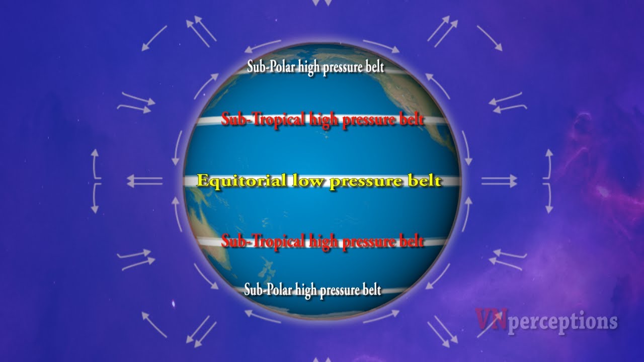 Pressure Belts