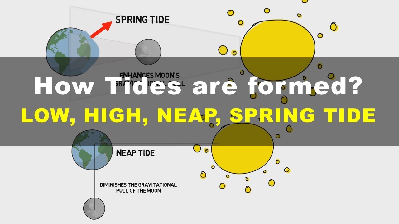 How Tides are Formed - Low, High, Neap, Spring Tide | Geography UPSC IAS