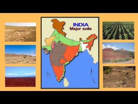 Soils of India