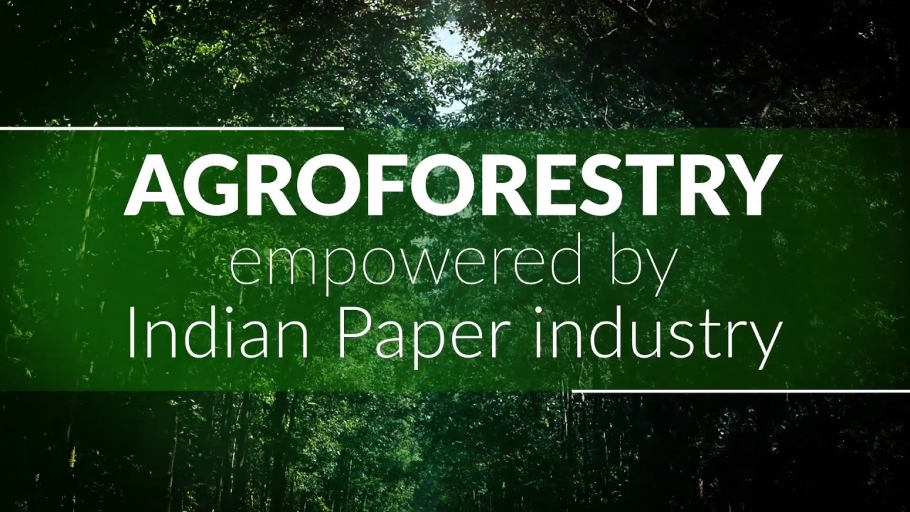 Benefits of Agroforestry