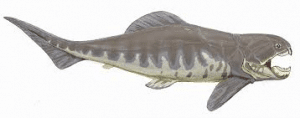 Early Fish