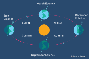 seasons