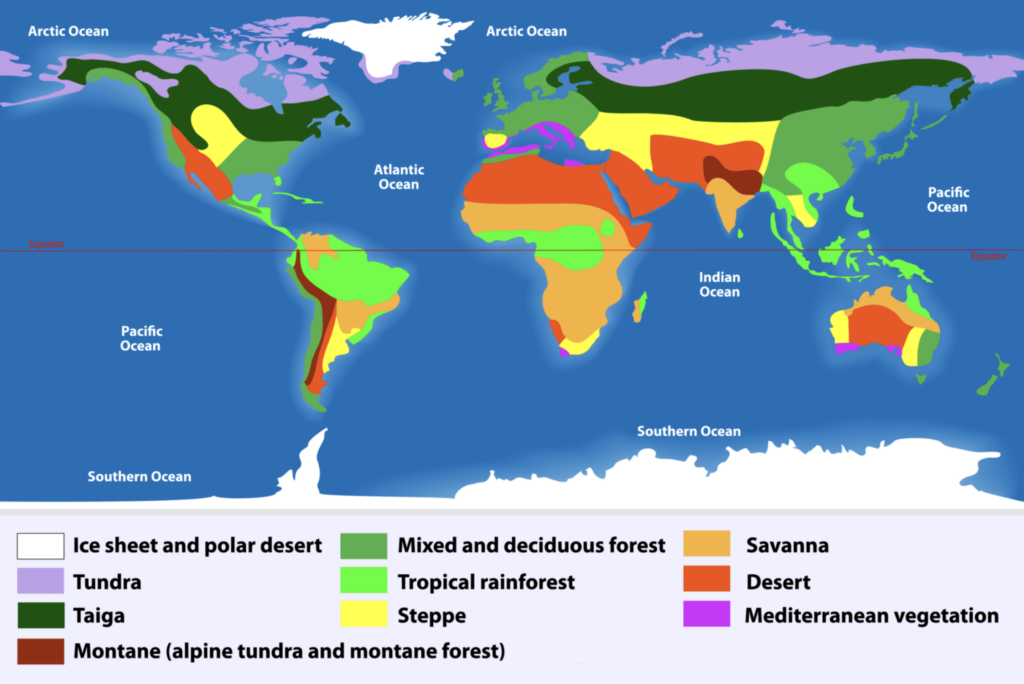 Types of Biome