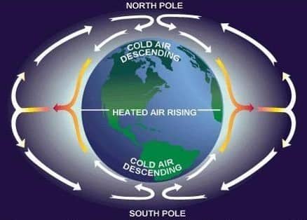 हवाएँ उष्णकटिबंधीय उच्च दबाव (ऊपरी क्षोभमंडल में) से ध्रुवीय निम्न (ऊपरी क्षोभमंडल में) की ओर नहीं बहती हैं