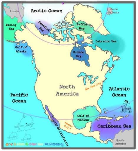 Map Of North America Bodies Of Water North America Rivers Bodies Of