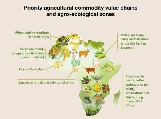crops grown in africa map