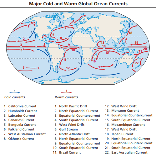 cold and warn ocean currents