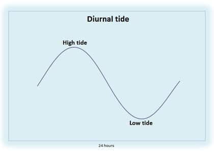 diurnal-tidal-cycle