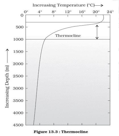 thermocline