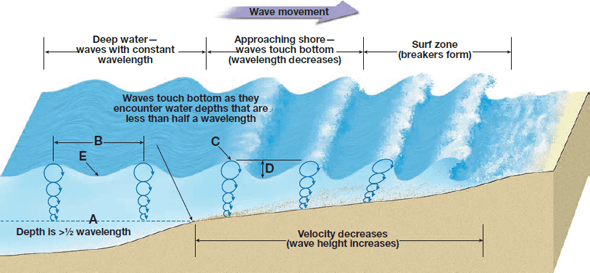 diameter of the orbit: increases with increasing wave size.