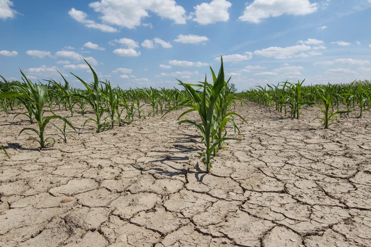 Agricultural Drought