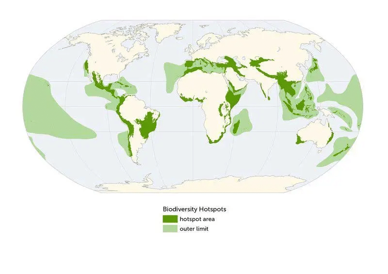 GLOBAL BIODIVERSITY HOTSPOTS