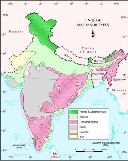 भारत में मिट्टी का वर्गीकरण