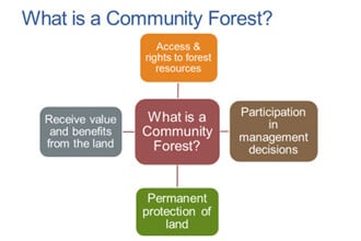 Community forestry