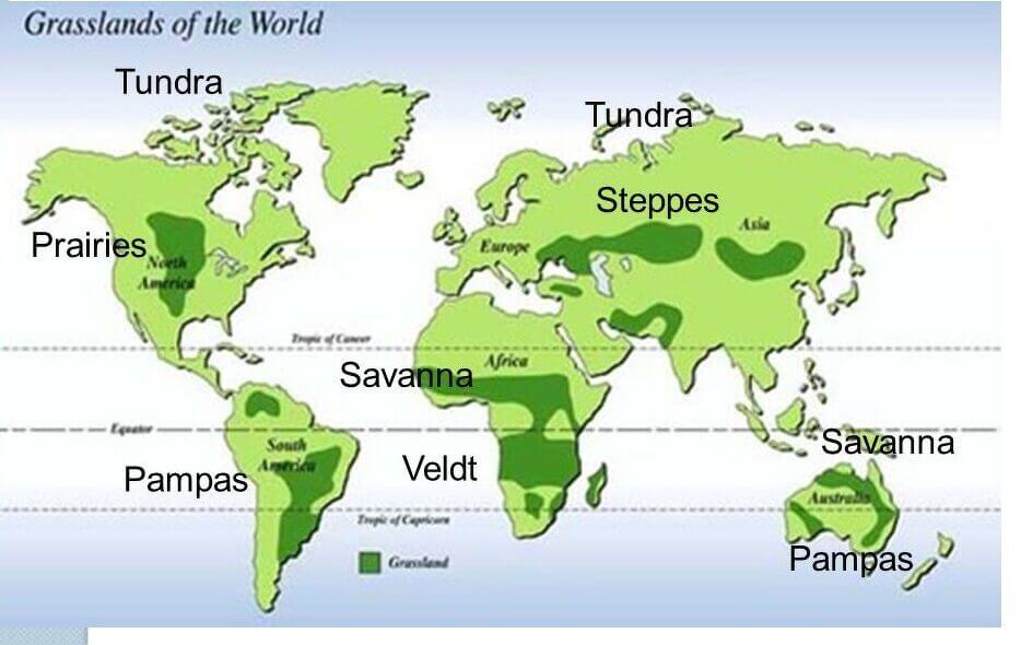 Major Grasslands of the World upsc