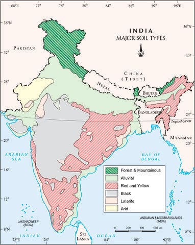 Major soil types in India