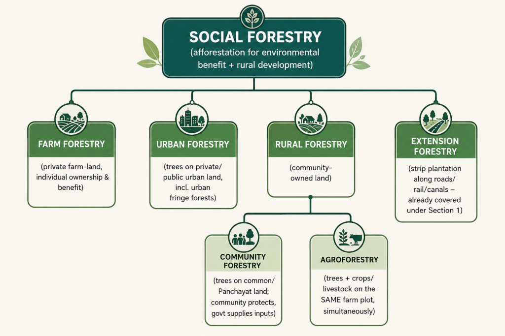 Social forestry flowchart