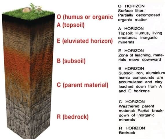 Soil Profile Soil Horizon soil layers