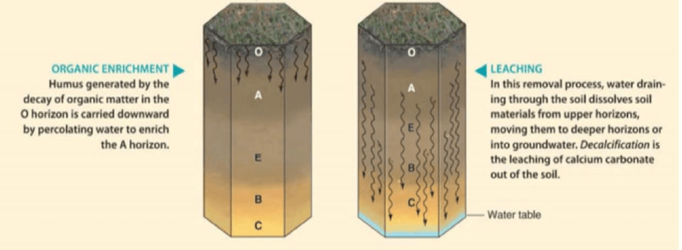 Soil-forming Processes