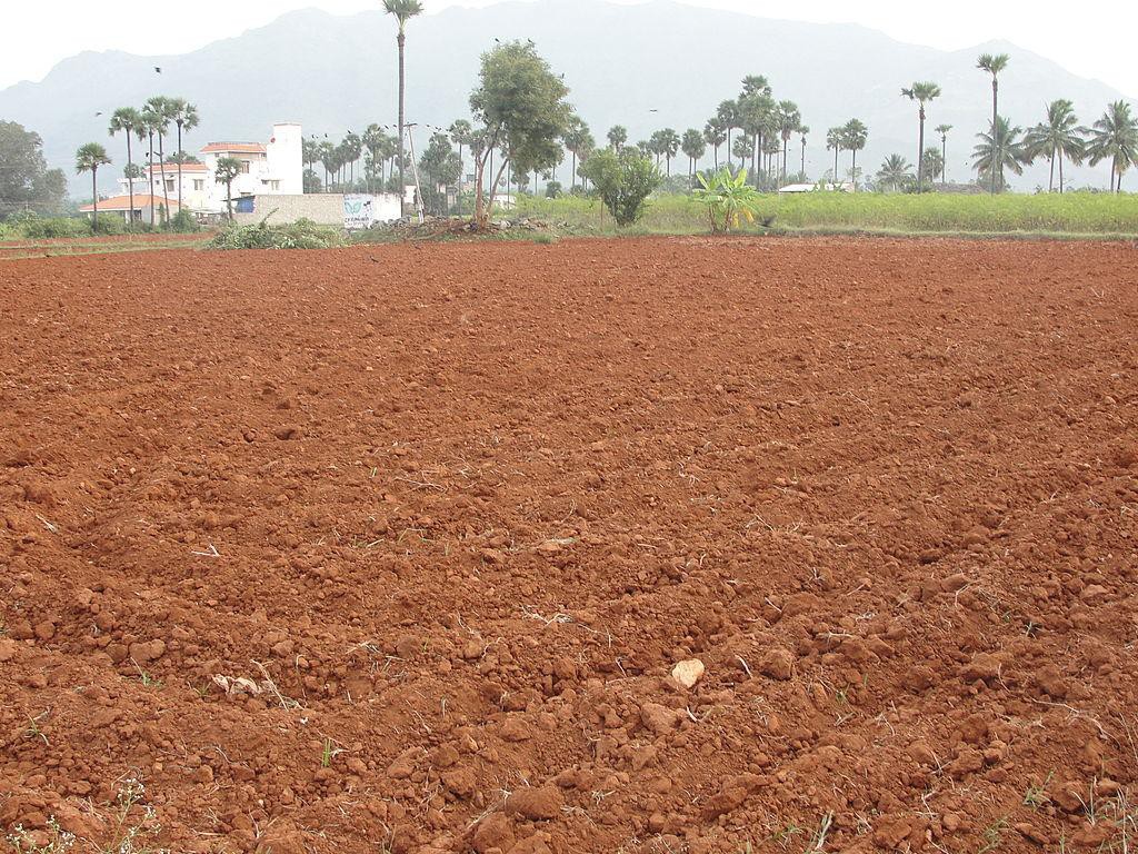 Types of Soil in India – Red Soil