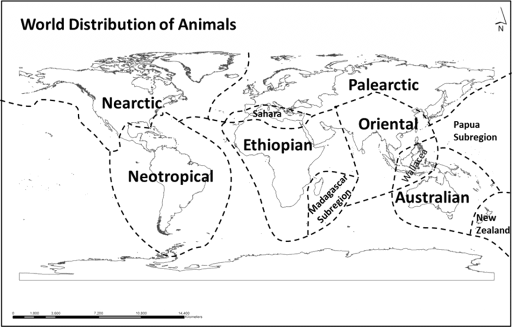 World Distribution of Animal UPSC