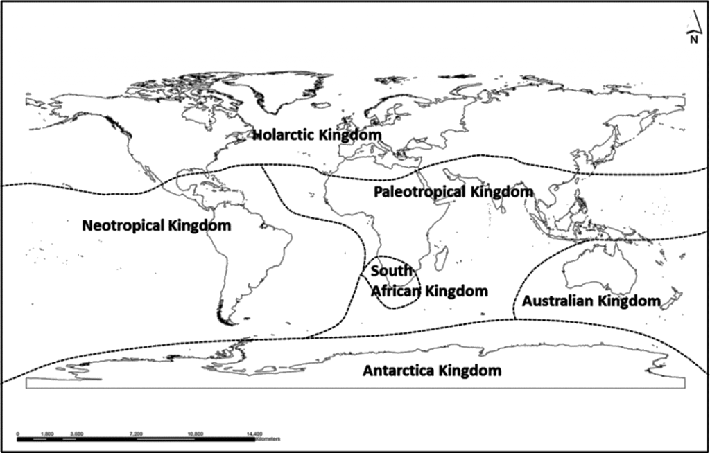 World Distribution of Plants
