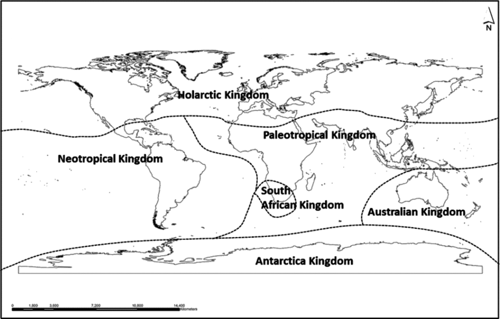 World Distribution of Plants