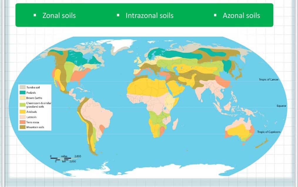 Zonal System Soil classification