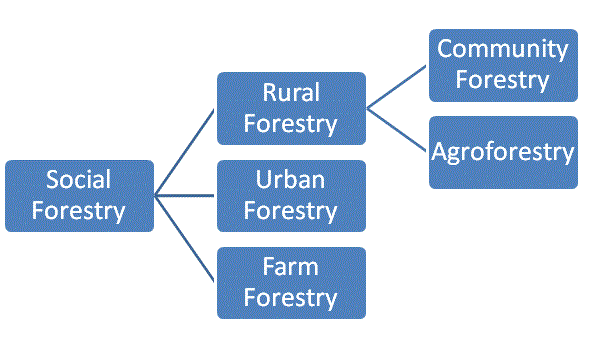types of social forestry
