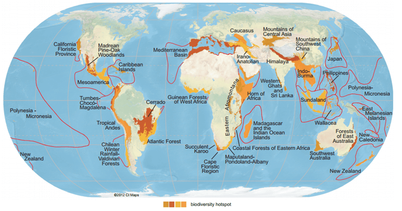 Biodiversity Hotspots