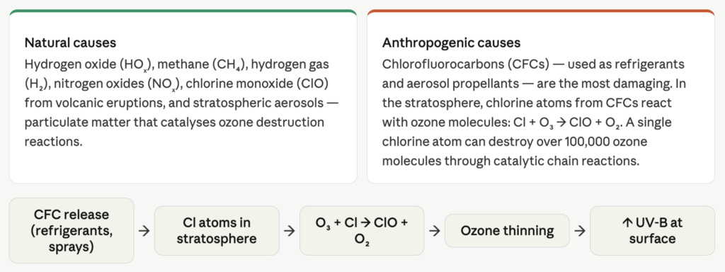 Causes of ozone depletion