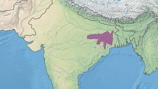 Chotanagpur Plateau