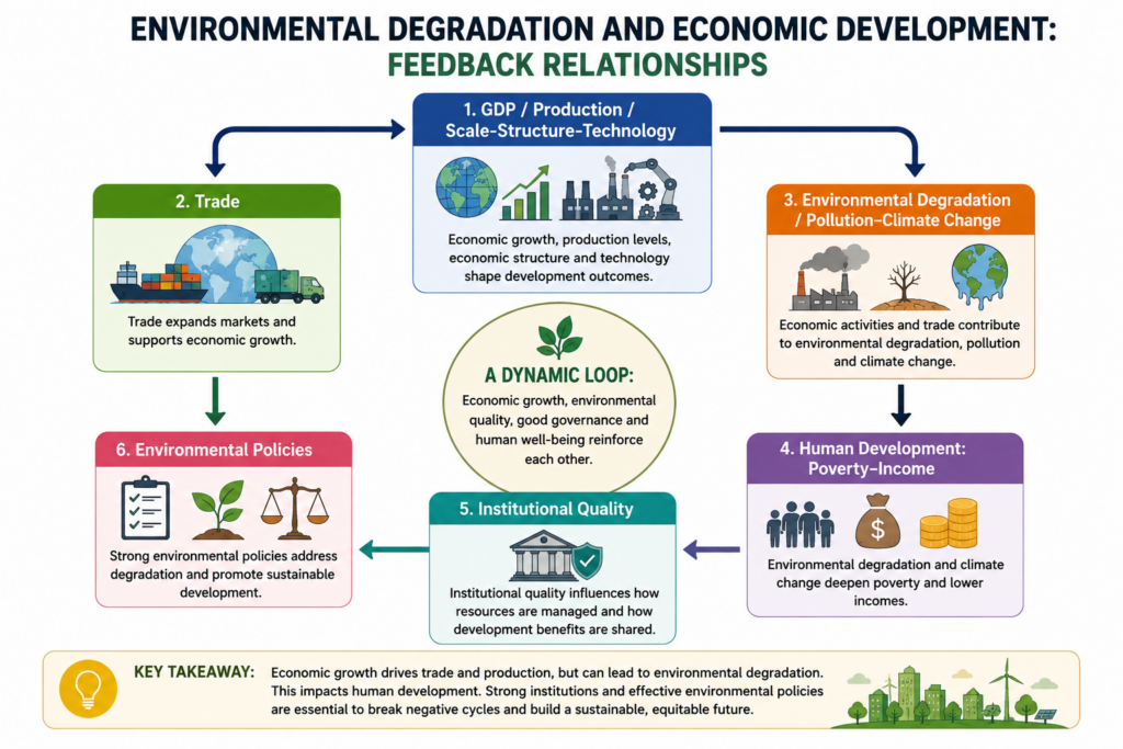Circular feedback system in economic development