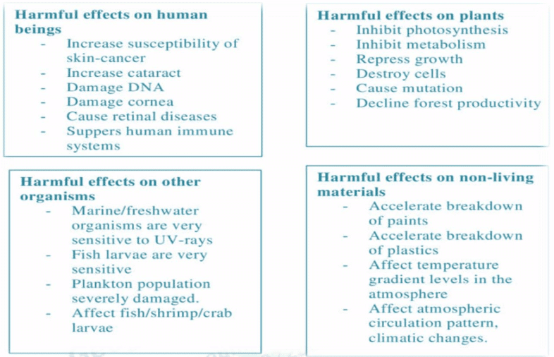 Effect of O3-layer depletion