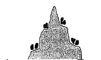 Hill top