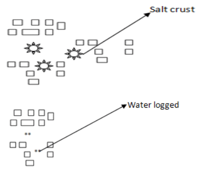 Perforated settlements