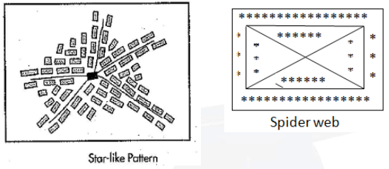 Spider web settlement