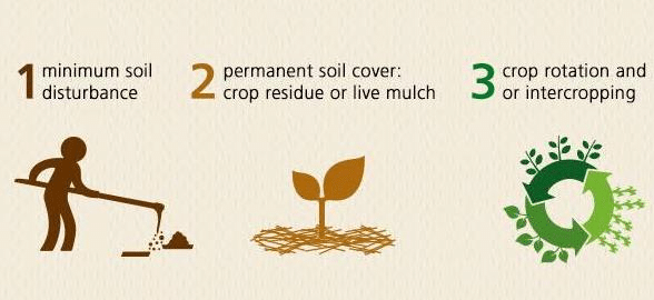 Sustainable agriculture