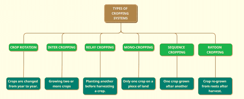 Cropping System 