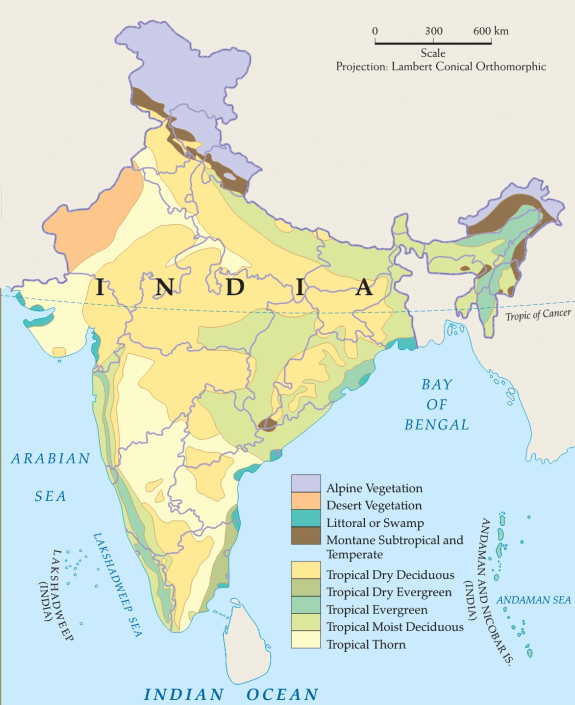 natural vegetation of India