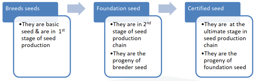 3 kinds of generation of seeds