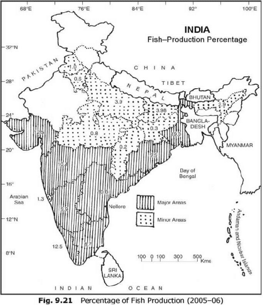 Indian fish production percentage 2005-06