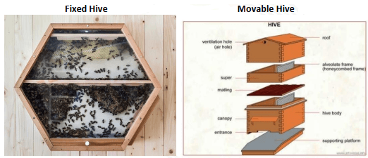 Indigenous method of bee keeping