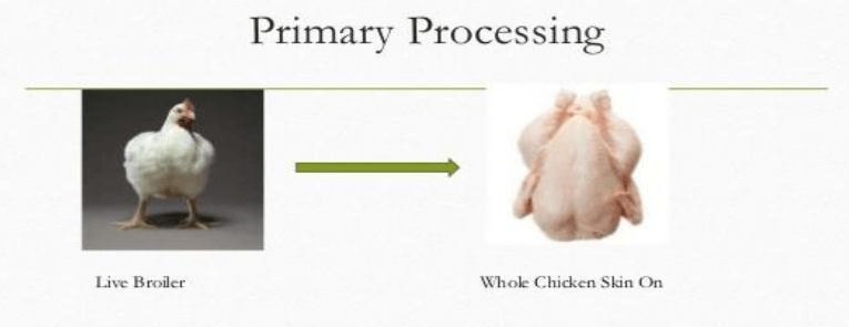 Poultry Farming primary processing