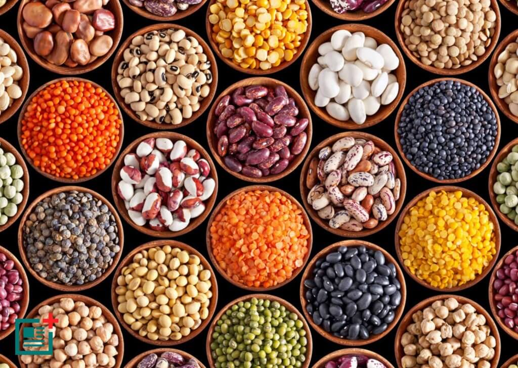 Pulses or Legumes