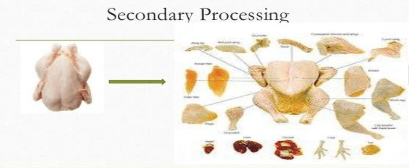 Poultry Farming secondary processing