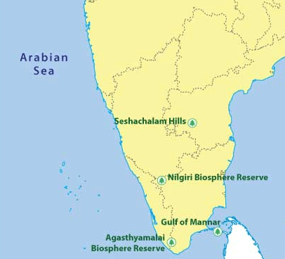 Seshachalam Hills biosphere reserve